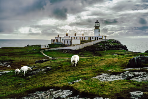 Item #102605457928241104048743295403602397884780439289049187283366587331436150259713 Media