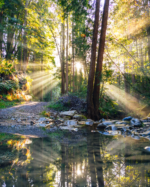 Item #99379921276153973634104125152908526548510783699959858376338453595295313821697 Media