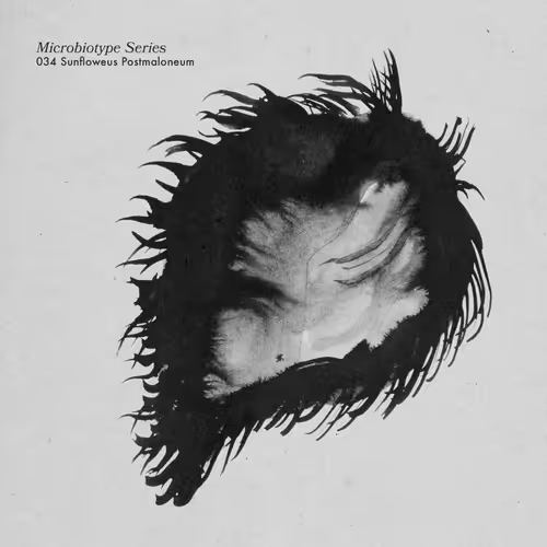 Item #20537471166803336483697920459392139182541277411208615206121837255889738792961 Media