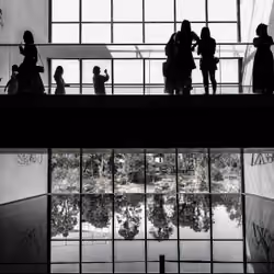 Silhouettes