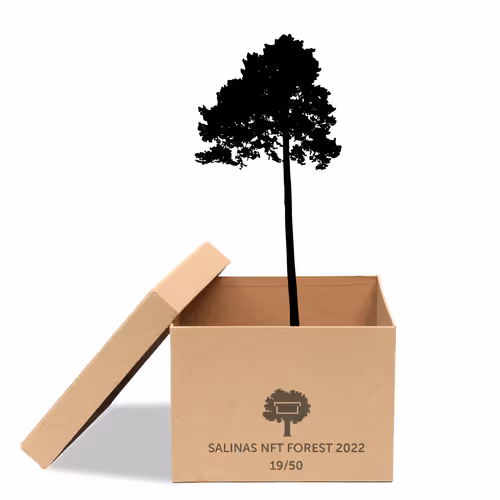 Item #63532776318757439562276927313719991273687356279339277108967620993716047577089 Media