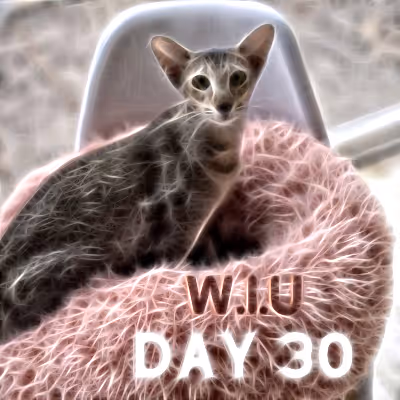 Item #39423832963151627607691891064013214374554670685362285359898062738193943363585 Media