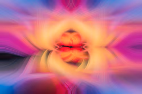 Item #33806556116645353974422995666267801011499992445511295382812024757557244461057 Media