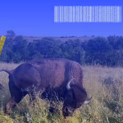 105089968166921690156624725616502706642431777719922472152070405719463756300289