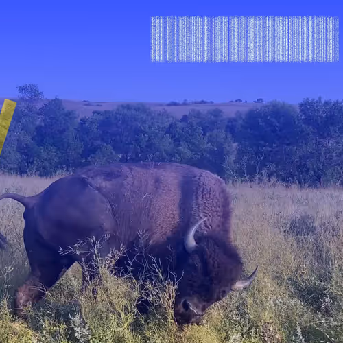 105089968166921690156624725616502706642431777719922472152070405719463756300289