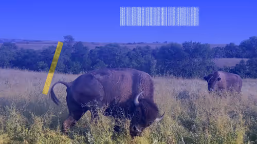 Item #105089968166921690156624725616502706642431777719922472152070405719463756300289 Media