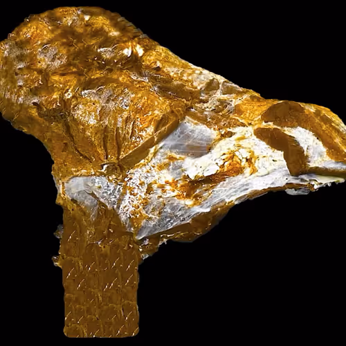 18063966590187803564983313972252836895288362682890717819958697117513534144513