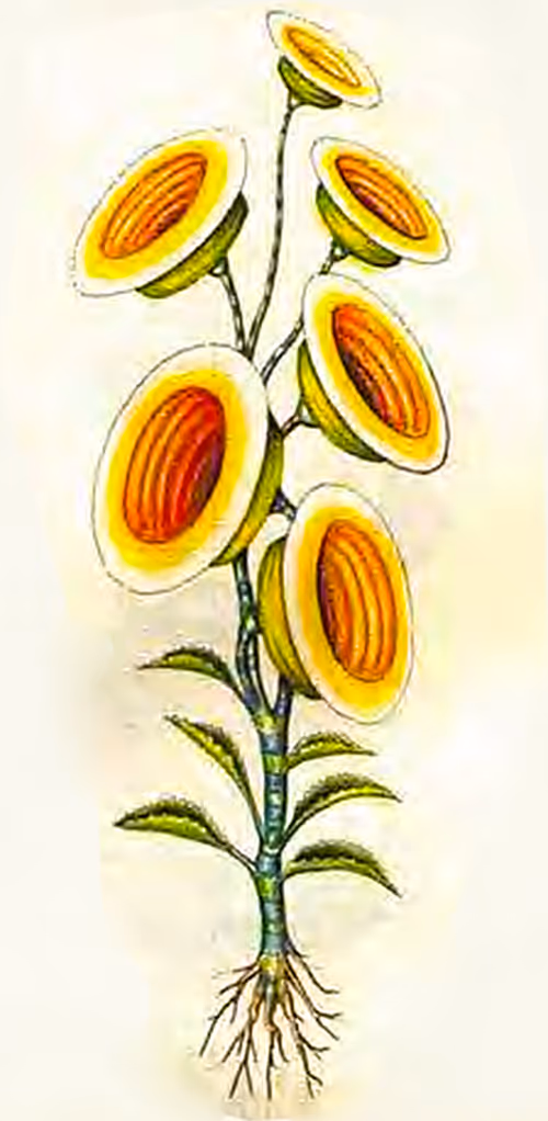 Item #78864796298763862712883292803622526859653475415382773801457426604084273610753 Media