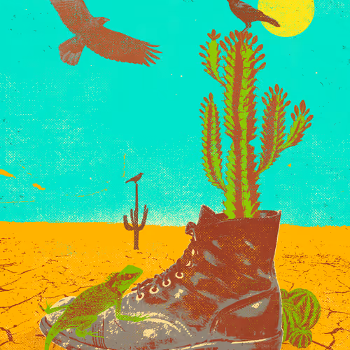 CACTI BOOT