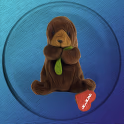 41776025324002017952572422073316458441069080831023694546850786283272106147841