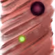 78514605708538024032391475016220075902551974500956605155388088778827900125185