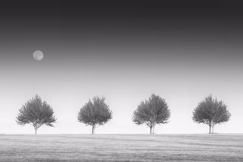 Item #39071023685345521589531013450918722216572370939070752972983331642126784004097 Media