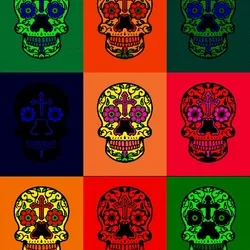 illuminati Heads
