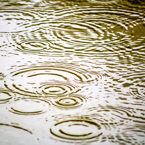 Item #110563264937173630415102547684714144673786021135482478862181301899907790012417 Media