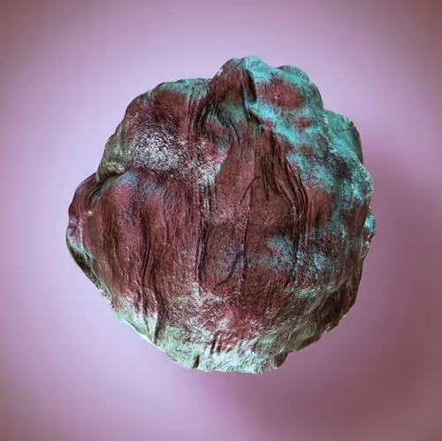 Item #46884428831963764071559469715347470516679677192054992085983553682421231648769 Media