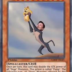 Elon, Father of Doge