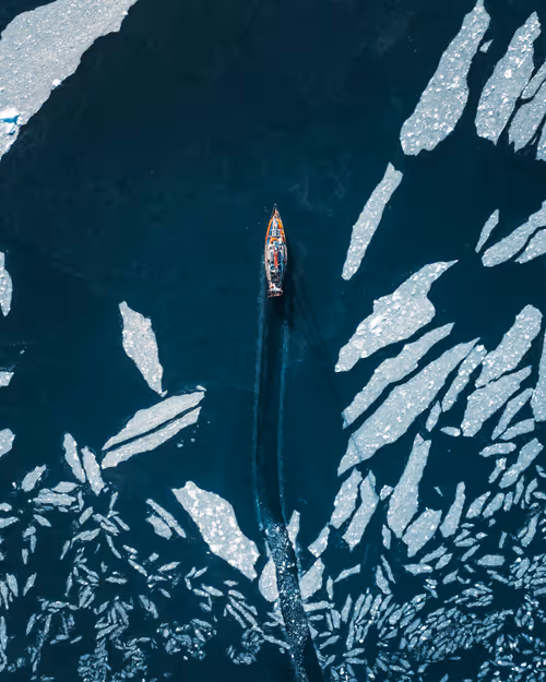 Item #59969087872528247593562305556961493003860374277083575615722774385116001075201 Media