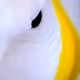 24632583837492670092599633934589483131746797002802219579488358117346776186881