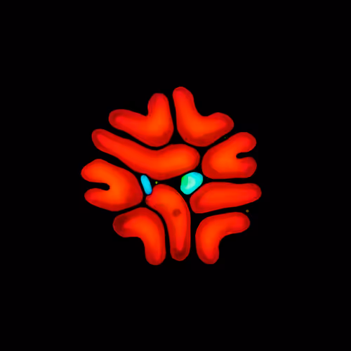 Item #39853347361311550538823328626004824816221754573894422864413753496816412786689 Media