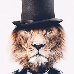 We are the Kings #8