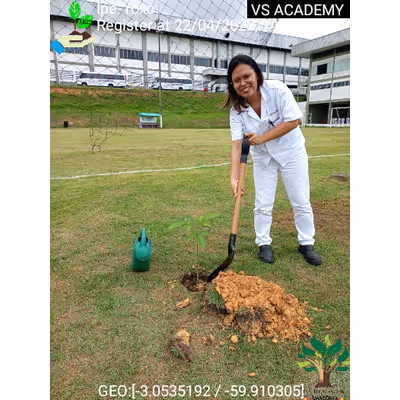 Item #8500196597889277390194123329501889087166328879864934763448348821517290700801 Media