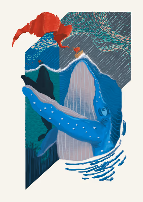 Item #86123800475764718507716848834733526483058958070821725031346616666951828635649 Media