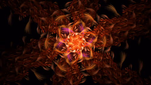Fractured Visions