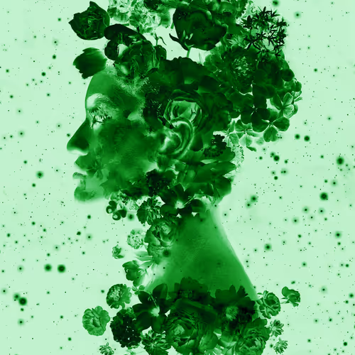 114326855260130091769496603532190643749551084567769454944154782502480496295961