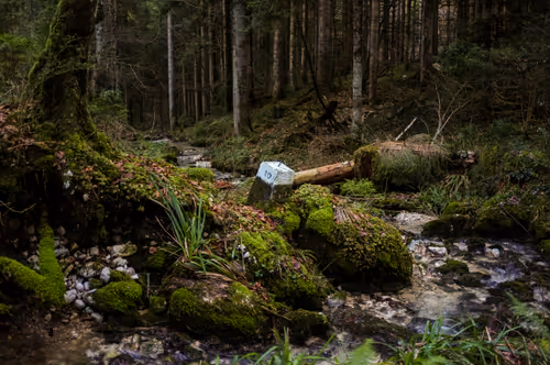 Item #88837150709499798352031986971363165703044907958800399059978422585284435640321 Media