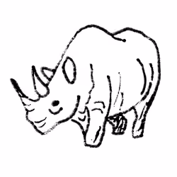 Rhinoceros
