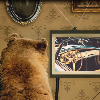 Item #36479184724039231419186303044149675509313623118029827198227846708321570521089 Media