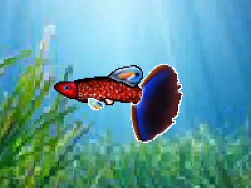 Item #103660596945549690149969121575235901622056825308983816077636300373696729579521 Media