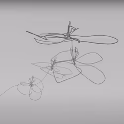 51472236781459235570045969823954325022147772359930512505025861045989402476545