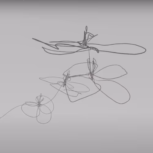 51472236781459235570045969823954325022147772359930512505025861045989402476545