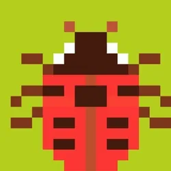 Lady bug
