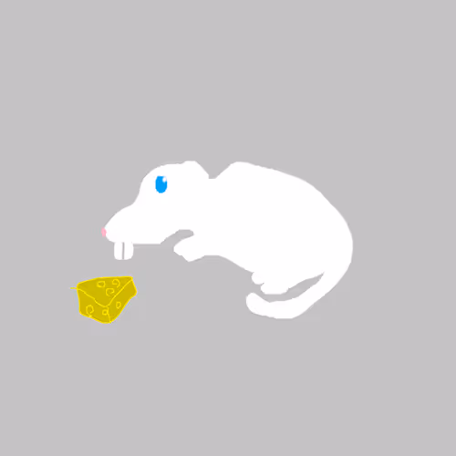 Ratkus