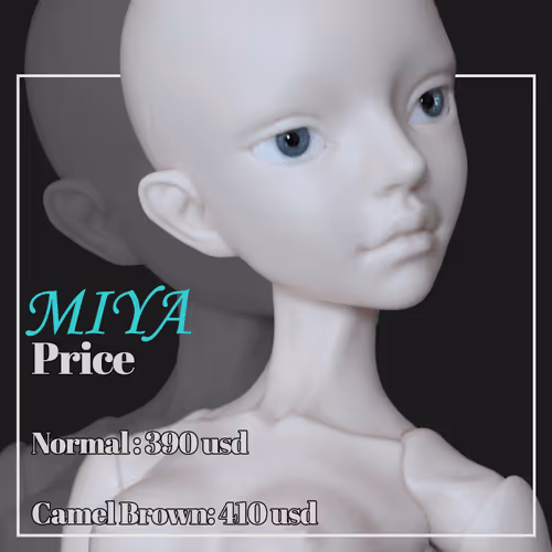 ACDC_doll Collection