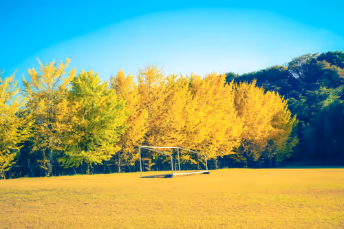 Item #87724672545568216492349628543176573267958151988335217142690977323515948040193 Media