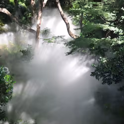 Misty