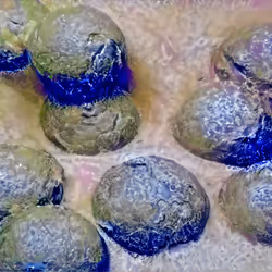 25737205233202205841191093152961627749975097154724822369935108369215310004225