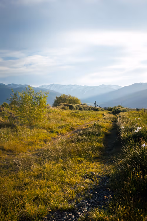 Item #104577317193629277838859014289850954037009501106472948457623431559055925051393 Media