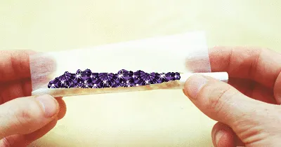 25341286264500723035621473236106555894325910133190681856438129059689087893505