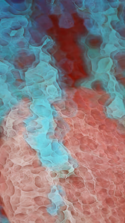 Item #107267490280634842483317670347548171509077651749826870963534851406534419677185 Media