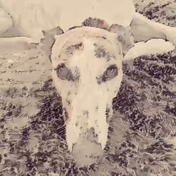 113233535435930126246803406212525192330824104616936385021501681248491525898241