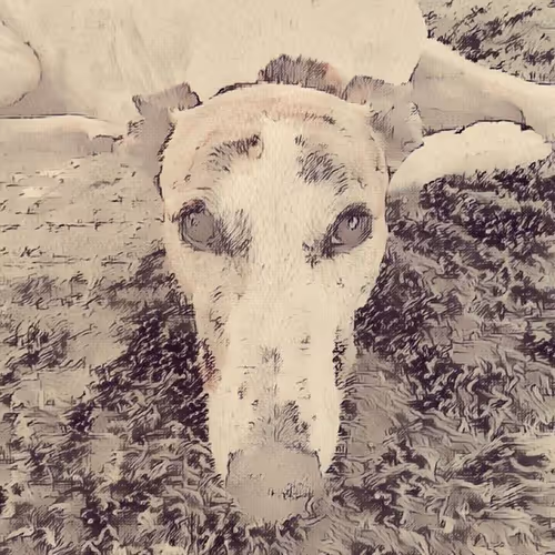 Item #113233535435930126246803406212525192330824104616936385021501681248491525898241 Media