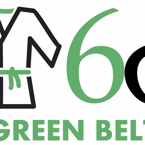 Lean Six Sigma Training Project Support