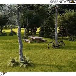 SERENITA_ANIM_002