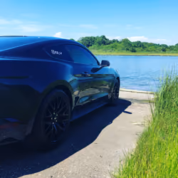 GT Hamptons 
