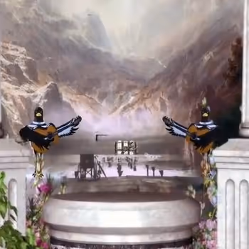 Item #36479184724039231419186303044149675509313623118029827198227846713819128659969 Media