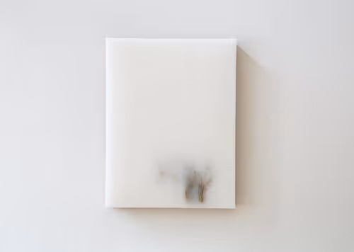 Item #63752114303693183958325174749772648375513070069265379426448051763967378325505 Media